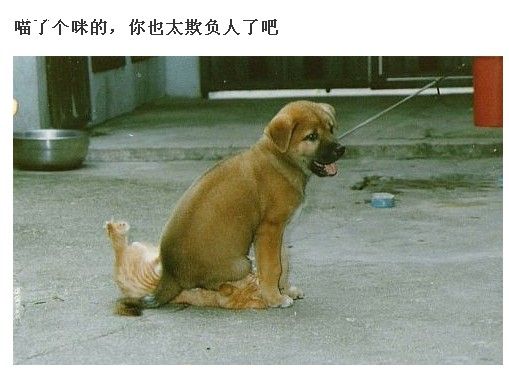 ´ͼƬ