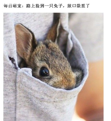 ´ͼƬ
