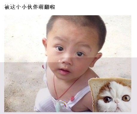 ´ͼƬ